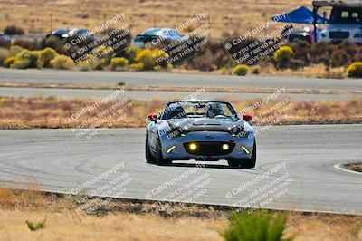 media/Nov-16-2024-Extreme Speed (Sat) [[6587d07cc4]]/Gold Group/Session 2 (Turns 3 and 5)/